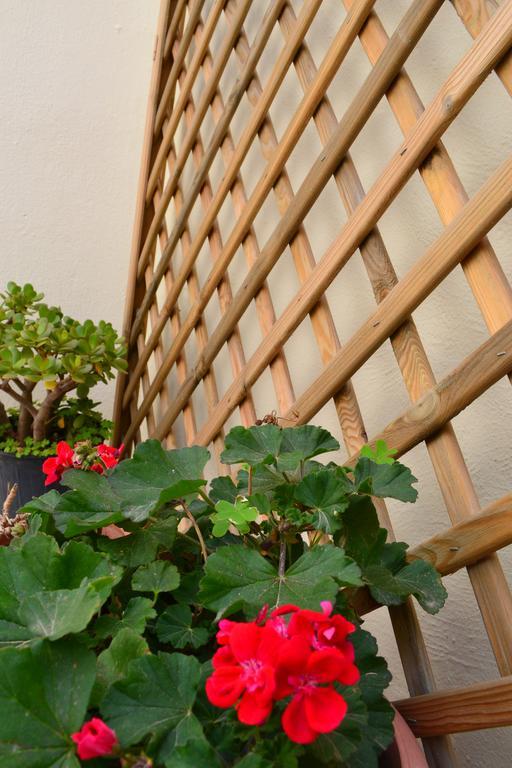 Anatolia Guest House Chania  Exterior photo